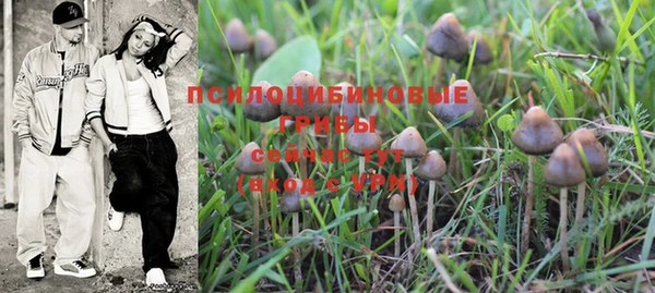 кокаин Белокуриха