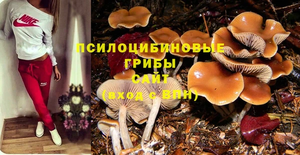 кокаин Белокуриха