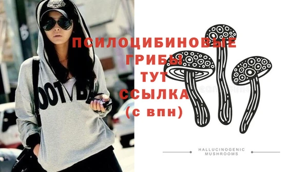 кокаин Белокуриха
