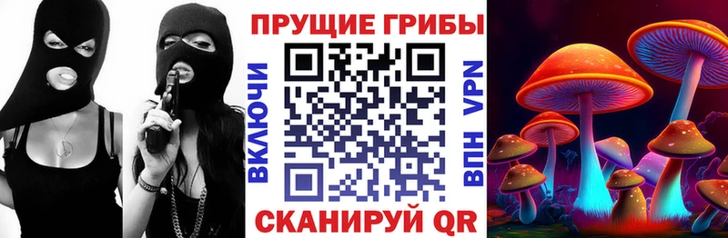 Галлюциногенные грибы Psilocybe  KRAKEN онион  Кудымкар 