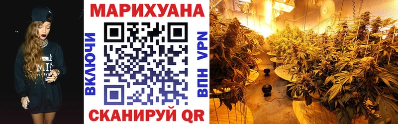 Шишки марихуана марихуана  где продают   Кудымкар 